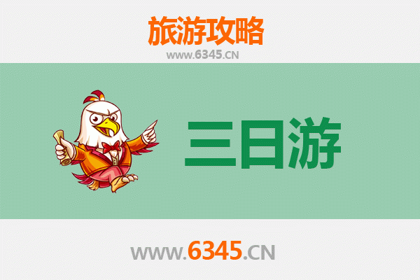 南投名间春節三日遊：茶香、古厝與櫻花的慢活之旅